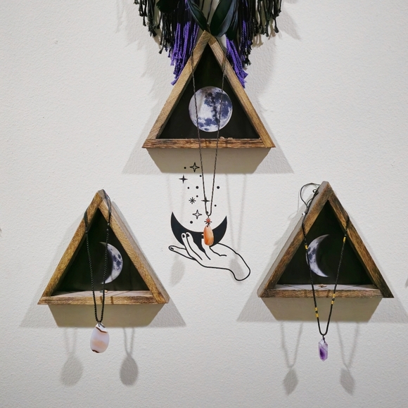 Meet Luna - Picture 3 of 16